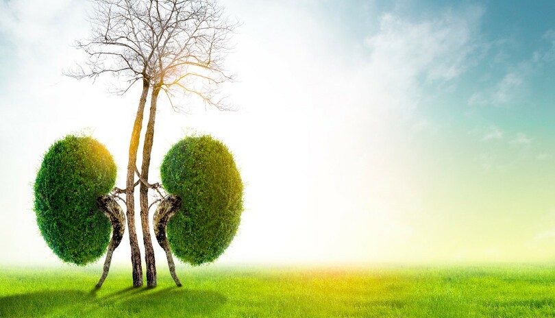 Pro� si h��kat Ledviny? A nejenom v �noru!