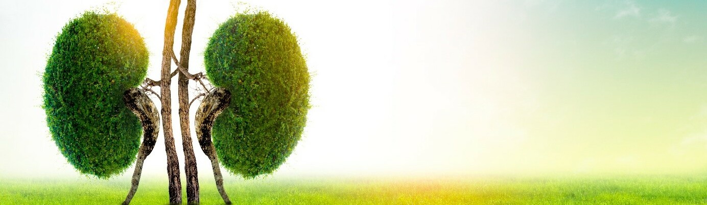 Proč si hýčkat Ledviny? A nejenom v únoru!