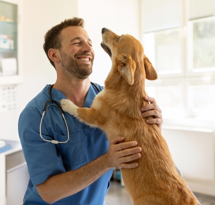 Léčba neurologických zvířecích pacientů pomocí čínské medicíny 2. díl 