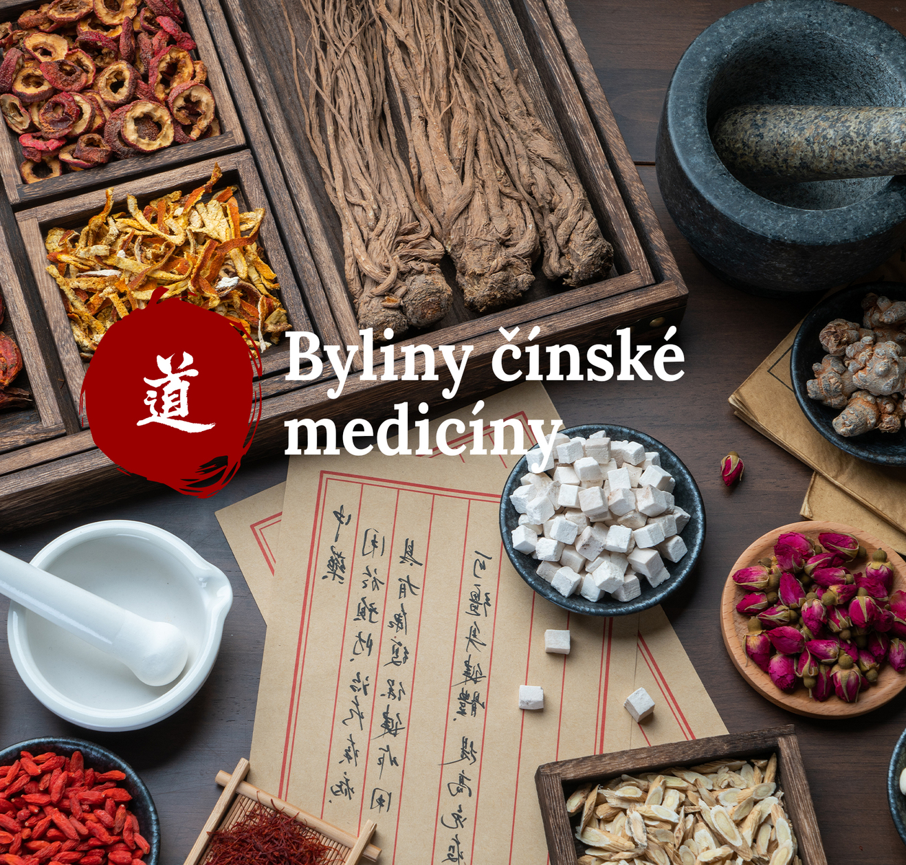 Seriál o bylinkách TCM - Zlatice převislá
