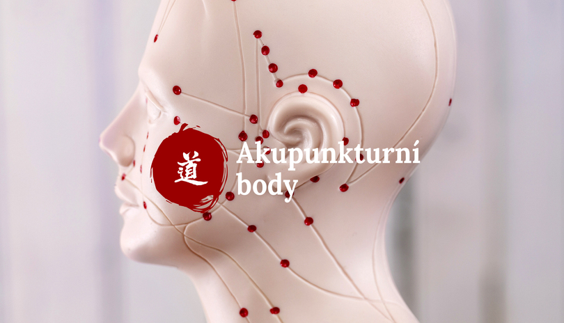 Mal atlas akupunktury_45. dl  Ju Que (CV-14)