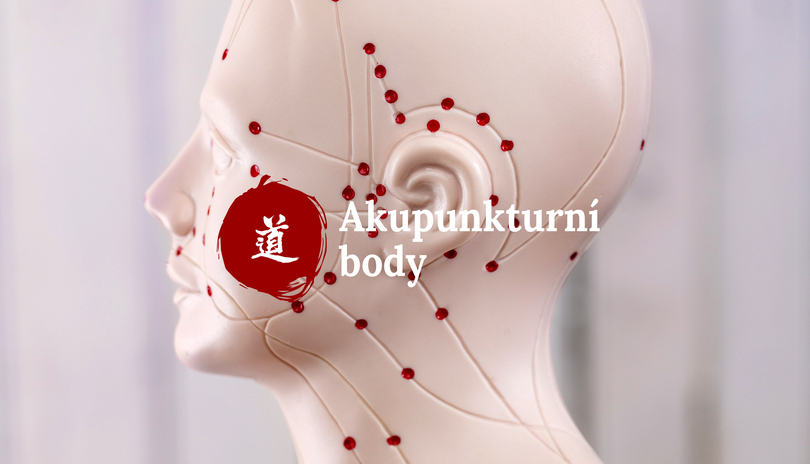 Mal atlas akupunktury_47_Yin Ling Quan (SP-9)