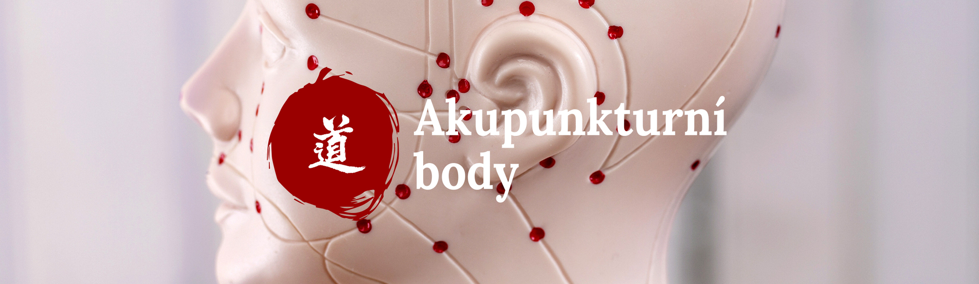 Malý atlas akupunktury_47_Yin Ling Quan (SP-9)