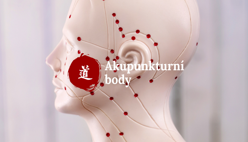 Mal atlas akupunktury_48. dl  Shu body na zdech (Bei Shu)