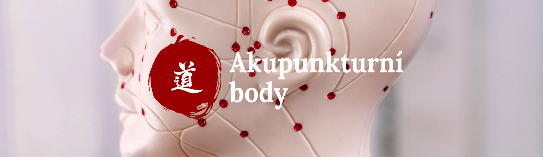 Malý atlas akupunktury_48. díl – Shu body na zádech (Bei Shu)