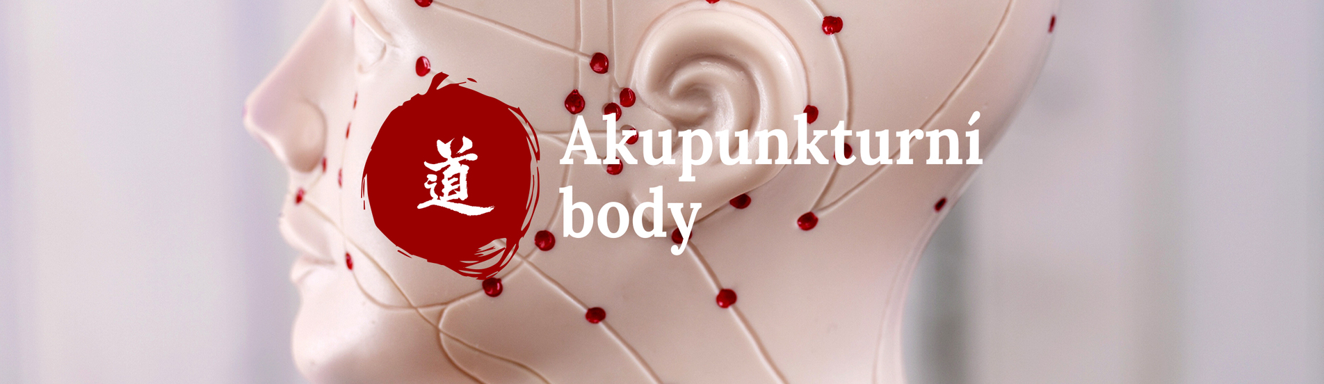 Malý atlas akupunktury_49. díl – Fei Shu (BL-13)