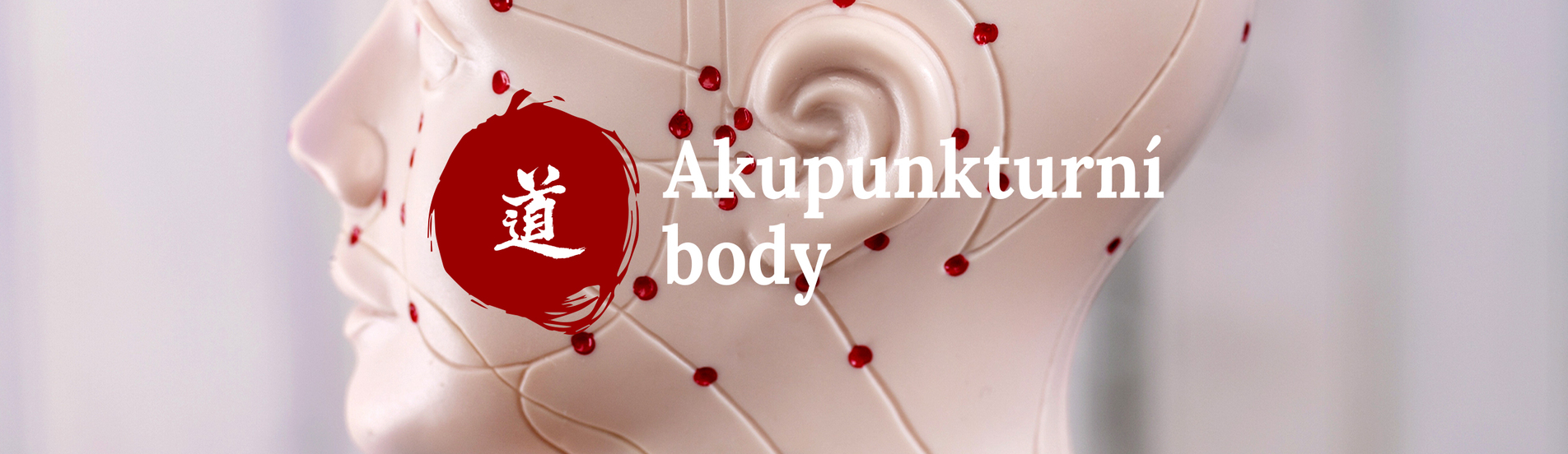 Malý atlas akupunktury - 50. díl – Xue Hai (SP-10)
