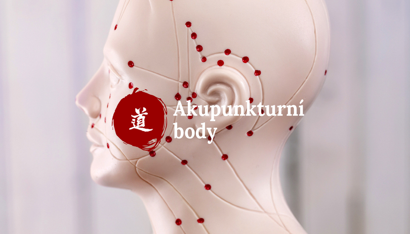 Mal atlas akupunktury - 52. dl  Tian Jing (TE-10)