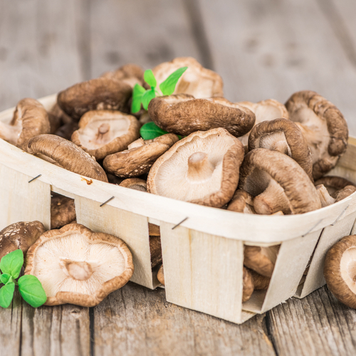 Shiitake: Prodn pomocnk pi prevenci srdench chorob