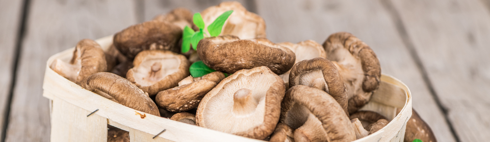Shiitake: Přírodní pomocník při prevenci srdečních chorob