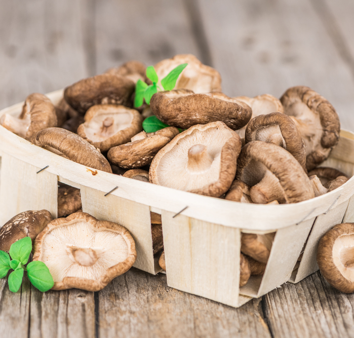 Shiitake: Prodn pomocnk pi prevenci srdench chorob