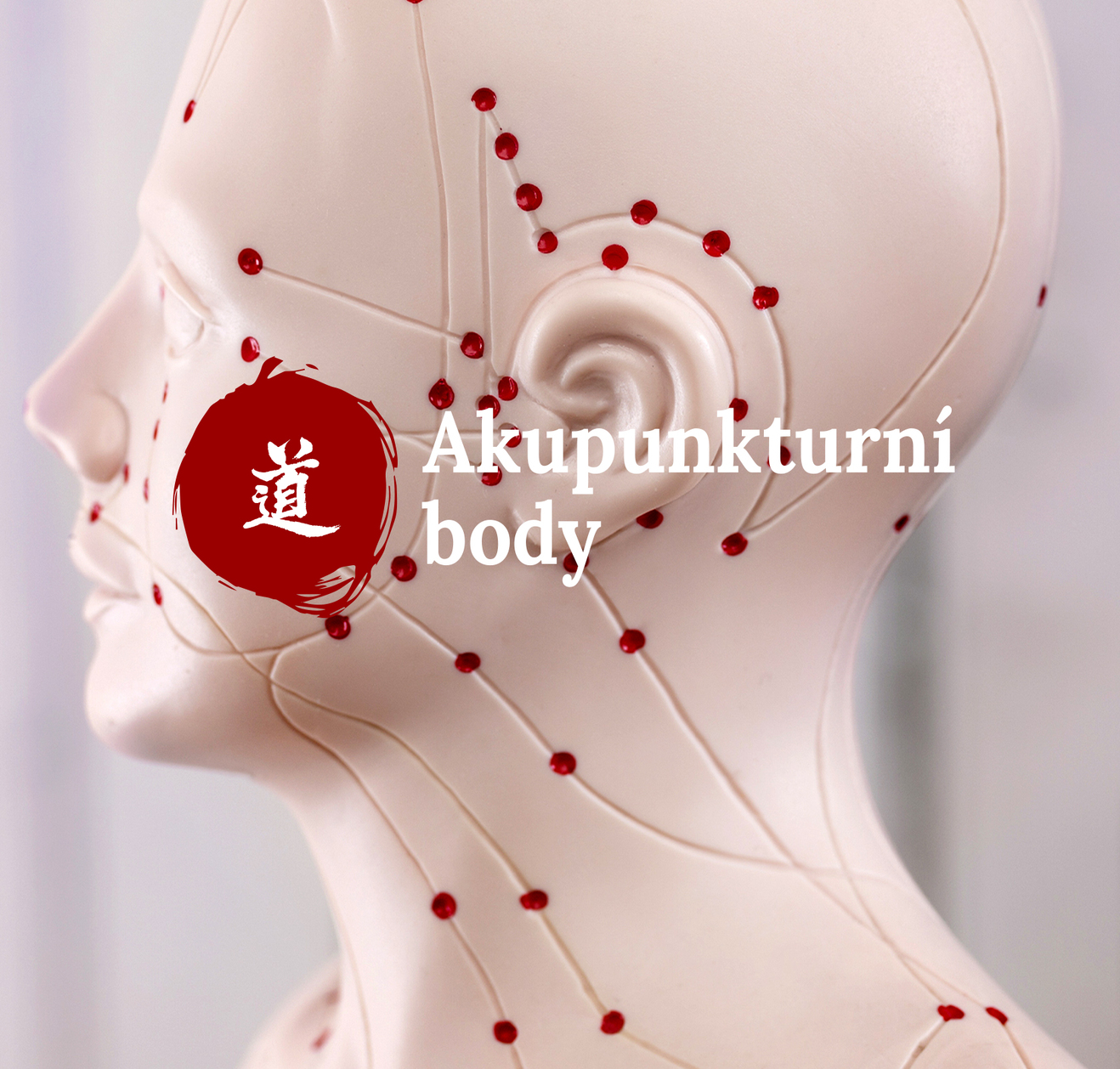 Mal atlas akupunktury - 53. dl  Jian Yu (LI-15)