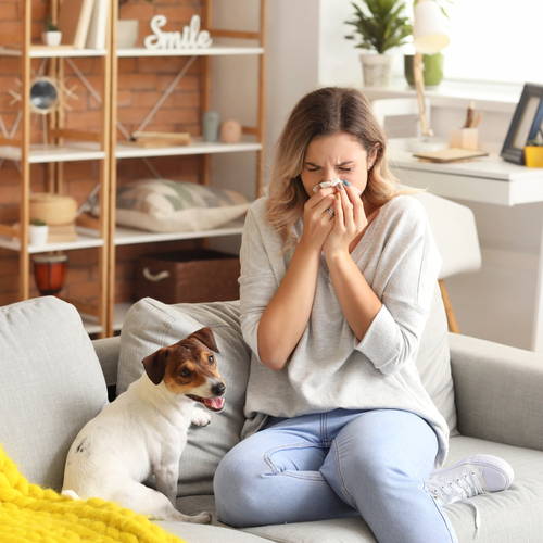 Jak zmrnit alergick reakce pirozenou cestou