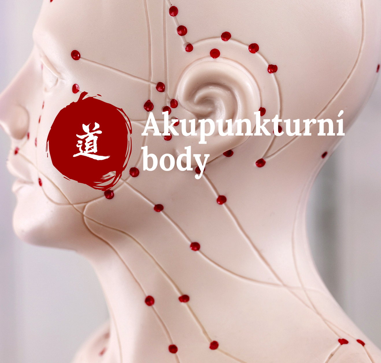 Mal atlas akupunktury_54. dl  Yang Ling Quan (GB-34)