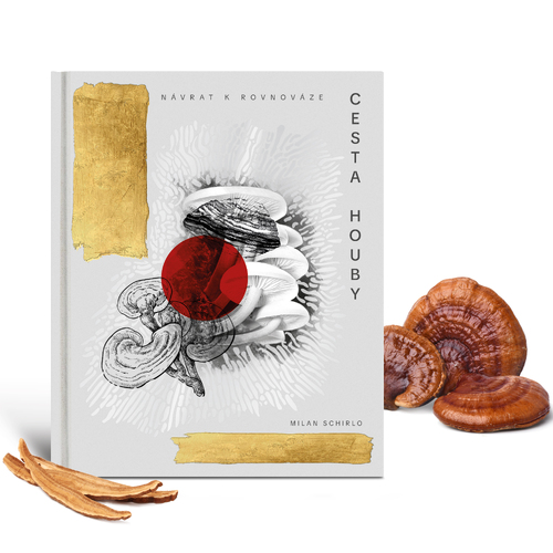 Cesta houby: Nvrat k rovnovze