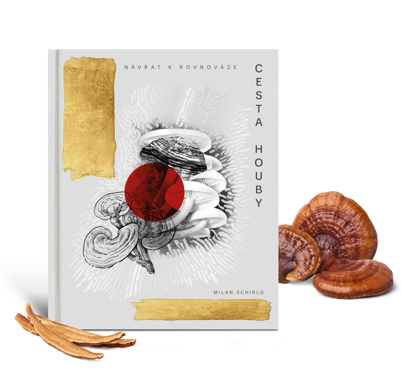 Cesta houby: Nvrat k rovnovze