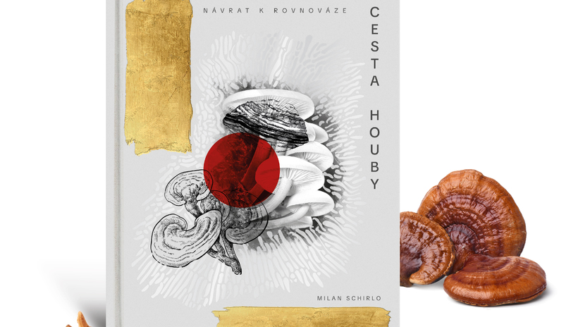 Cesta houby: Nvrat k rovnovze