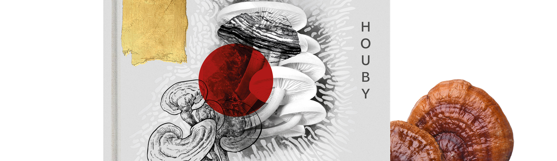 Cesta houby: Nvrat k rovnovze