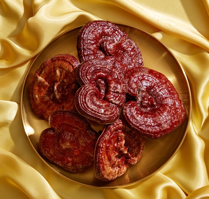 Reishi jako mo�n� pomocn�k u z�chvatov�ch onemocn�n�