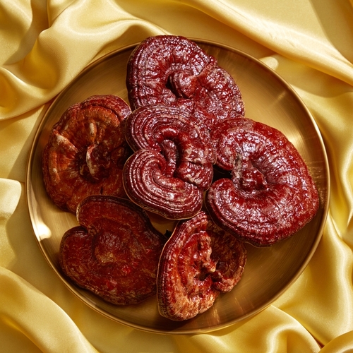 Reishi jako mo�n� pomocn�k u z�chvatov�ch onemocn�n�