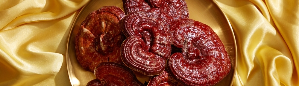 Reishi jako mo�n� pomocn�k u z�chvatov�ch onemocn�n�