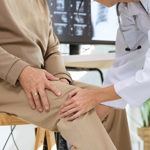 Mycelium Hericia m��e zpomalit postup osteoartr�zy