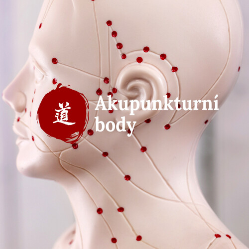 Mal� atlas akupunktury - 22. d�l - Da Ling (PC-7)