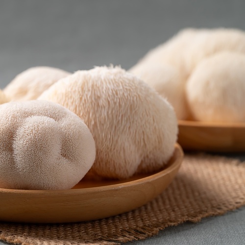 M��e Hericium pomoci p�i akutn�m z�n�tu tlust�ho st�eva?