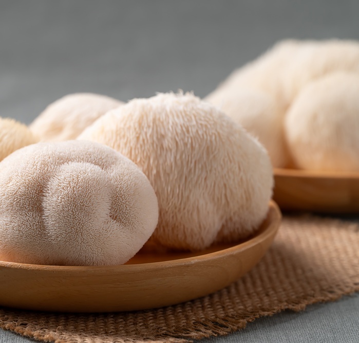 M��e Hericium pomoci p�i akutn�m z�n�tu tlust�ho st�eva?